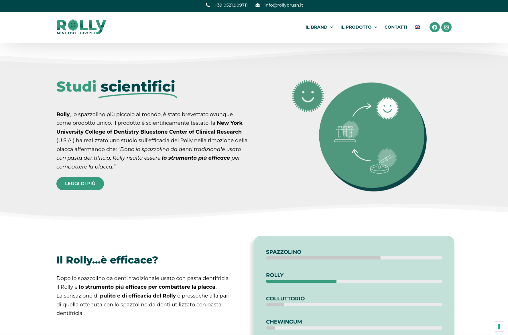 Sviluppo Sito web aziendale | Rolly Brush