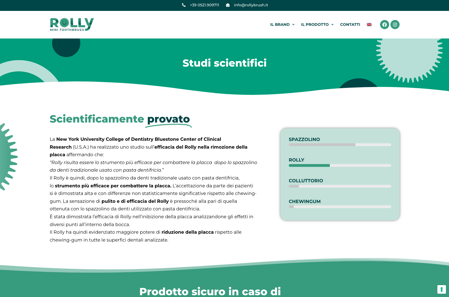 Sviluppo Sito web aziendale | Rolly Brush