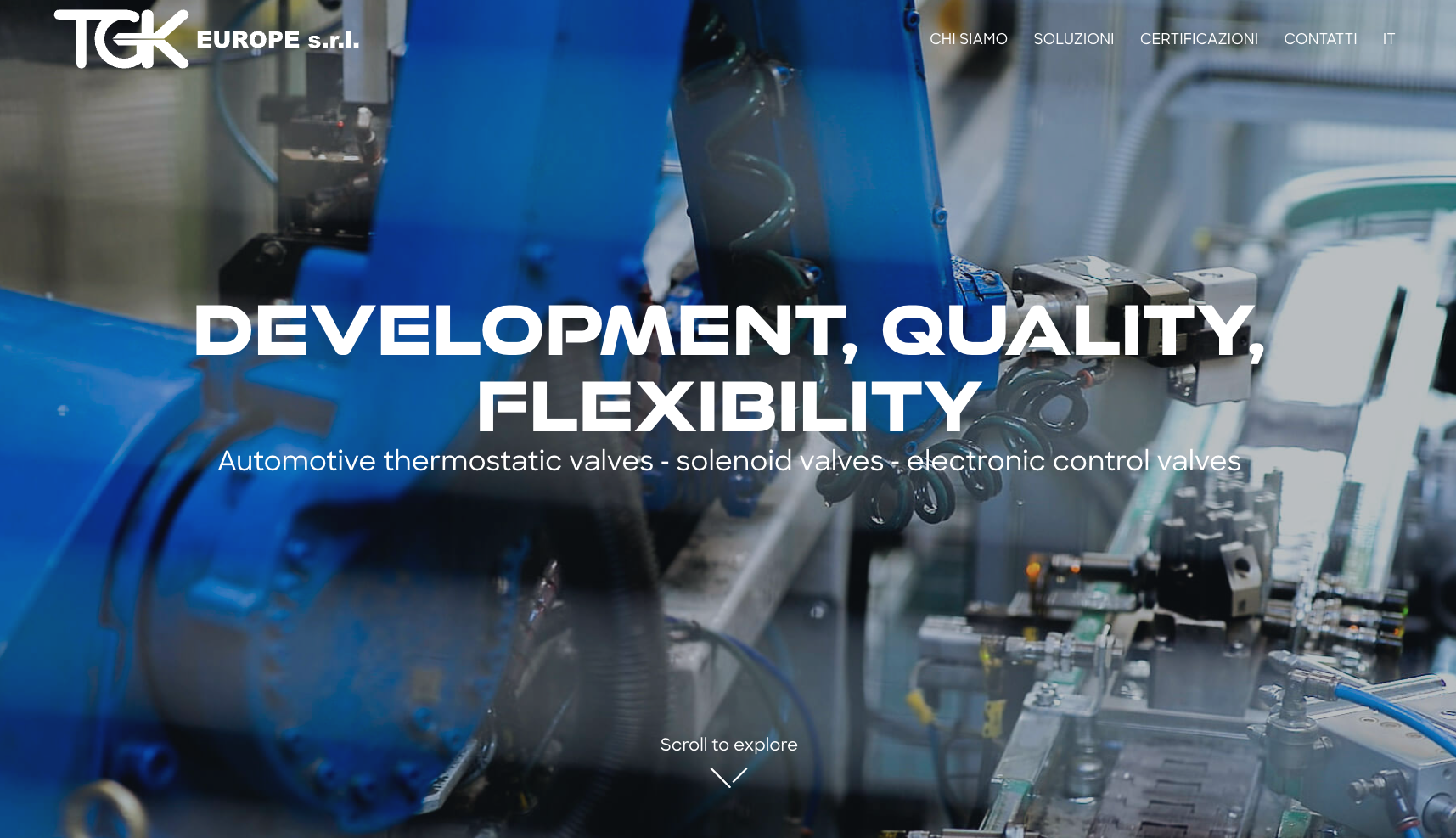 Realizzazione sito web TGK Europe