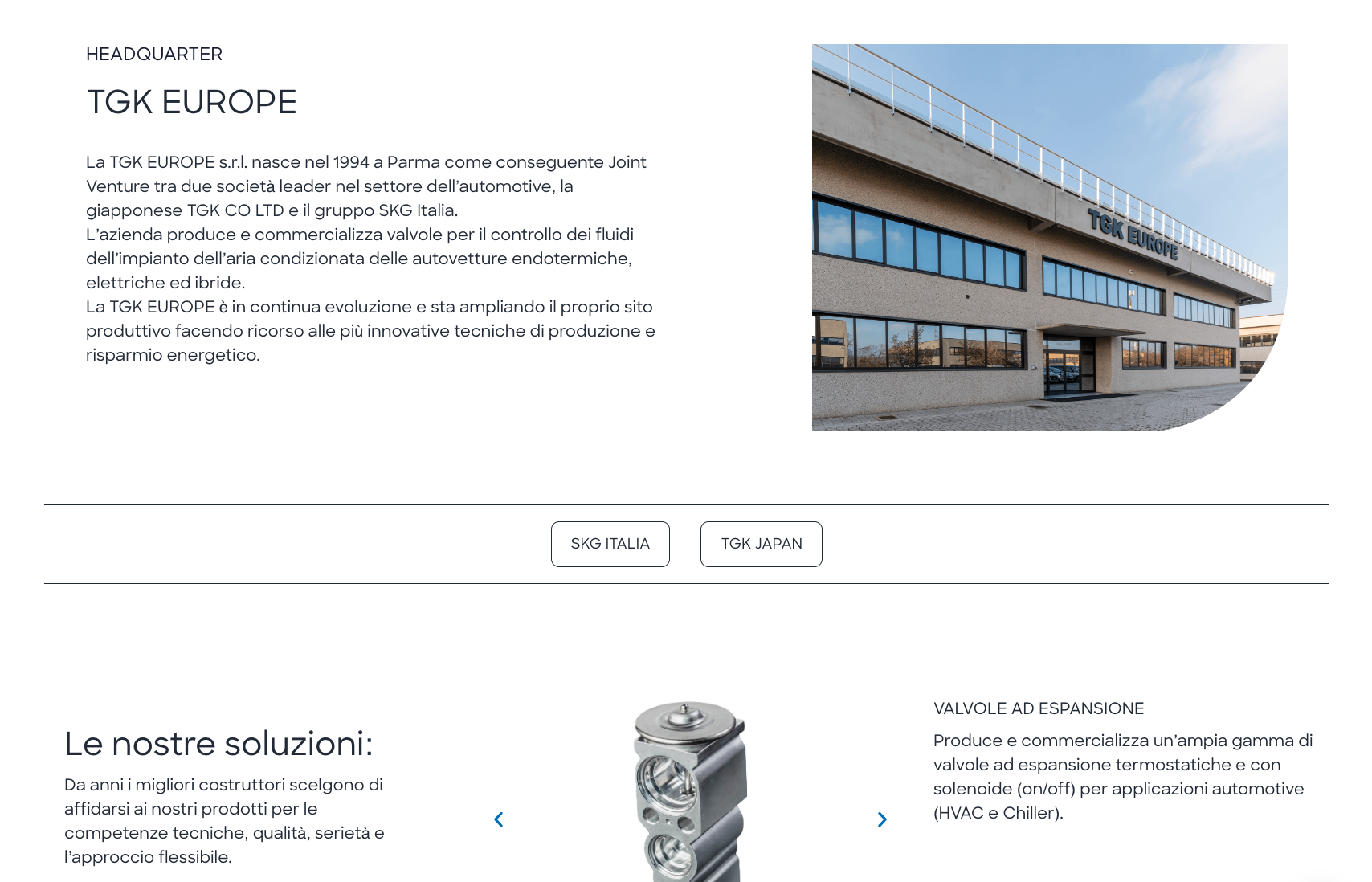 Realizzazione sito web TGK Europe